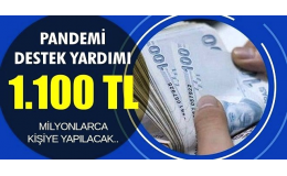 Pandemi Yardım Parası Nasıl Alınır ?